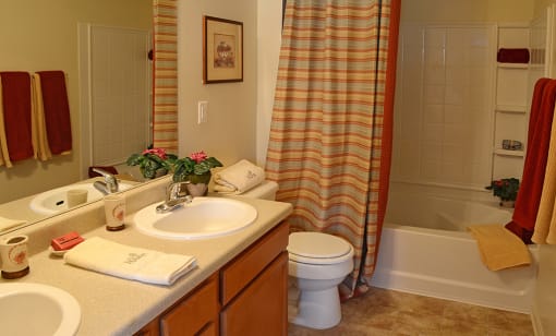 Bathroom with tub and shower at the Haven at Market Street Station, TN