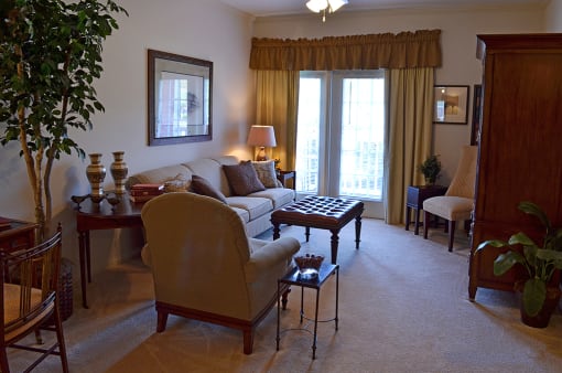 Living space with plush carpet at the Haven at Market Street Station Johnson City, TN