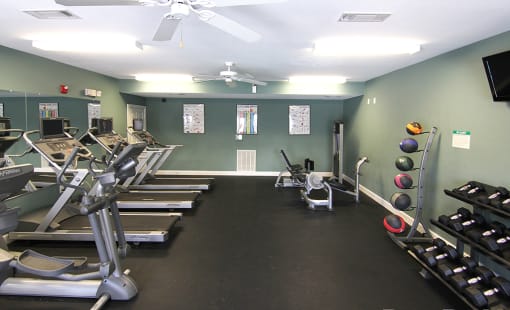 Fitness center with cardio equipment at the Haven at Reed Creek apartments Martinez, GA