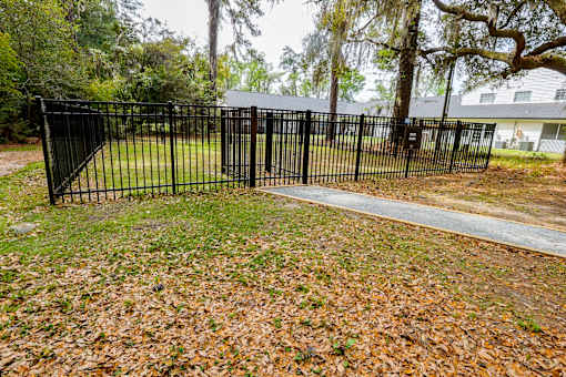 A black metal fence with a gate is in front of a grassy area with fallen leaves.