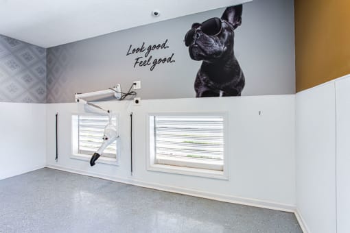 a bathroom with a dog on the wall