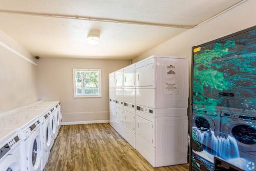 A row of white washing machines in a laundry room.