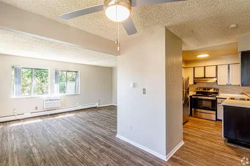A room with a kitchen in the background and a living room in the front.