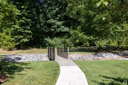 a path through a park with trees and a river