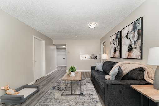A living room with a grey couch, a coffee table, and a lamp.
