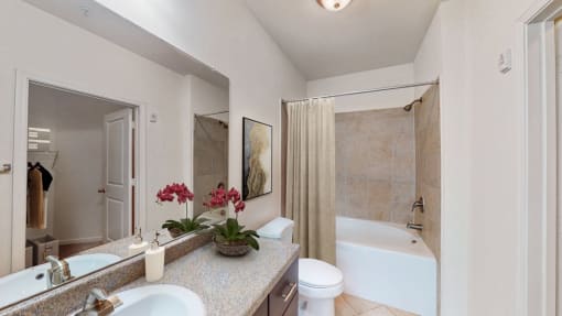 a bathroom with a sink and a toilet and a shower