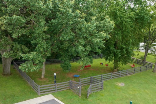 a backyard with trees and chickens in a fenced in area at The Dylan, Murfreesboro, TN