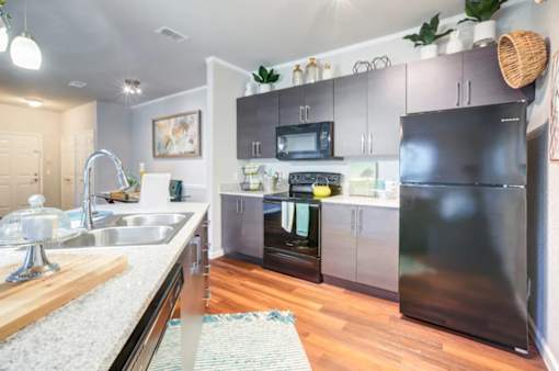 A modern kitchen with a black refrigerator and stove.at Century Ariva, Florida, 33812