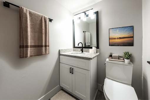 A bathroom with a white toilet, a sink with a marble countertop, a mirror, a towel rack, and a framed picture on the wall.