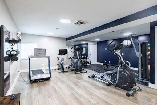 A gym with a variety of equipment including treadmills, stationary bikes, and weight machines.