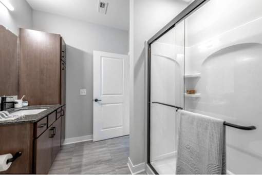 A bathroom with a walk-in shower and a sink.