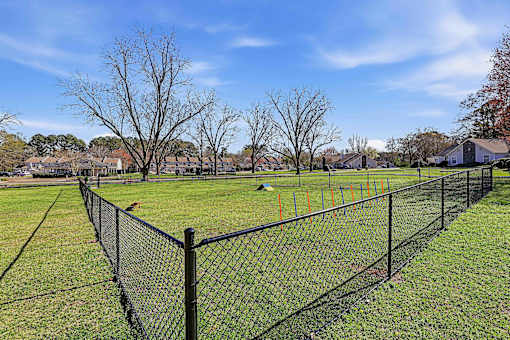 A black fence surrounds a green field.