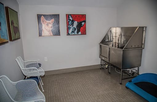 a room with a sink and chairs and a metal tub