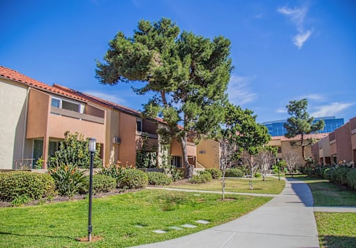 a sidewalk in front of a building with trees and grass