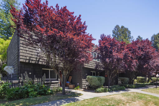 Grounds