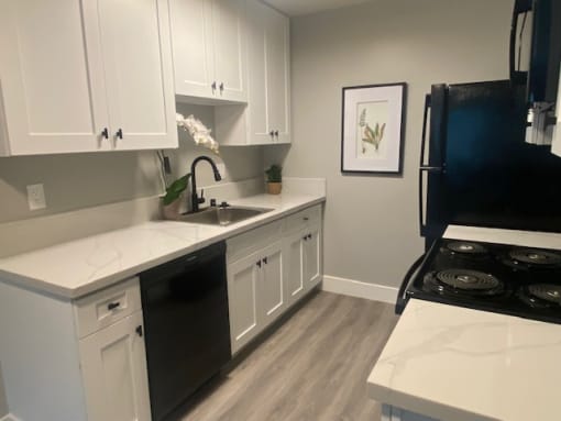 a kitchen with white cabinets and black appliances