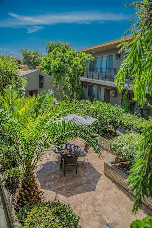 a patio with a table and chairs surrounded by plants and trees