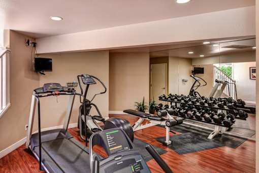 A gym with treadmills, elliptical machines, and a rowing machine.