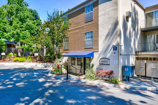 A building with a blue awning and a sign that says "Cambria" is surrounded by trees and plants.