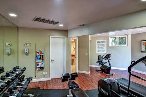 A gym with treadmills, weights, and exercise machines.