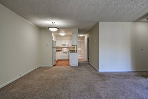 A spacious living room with a kitchen in the background.