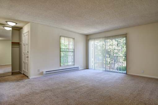 A room with a carpeted floor and a window with blinds.