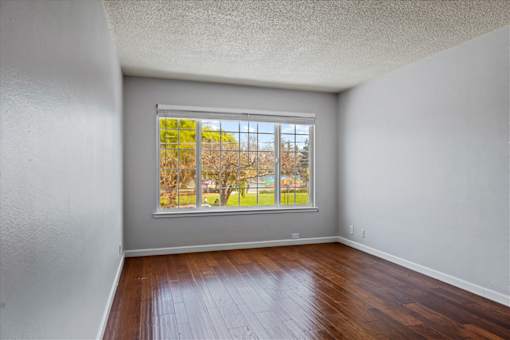 A room with a window overlooking a tree-lined street.