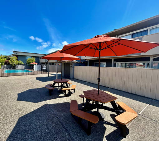 South Delaware Apts Pool tables with large umbrellas