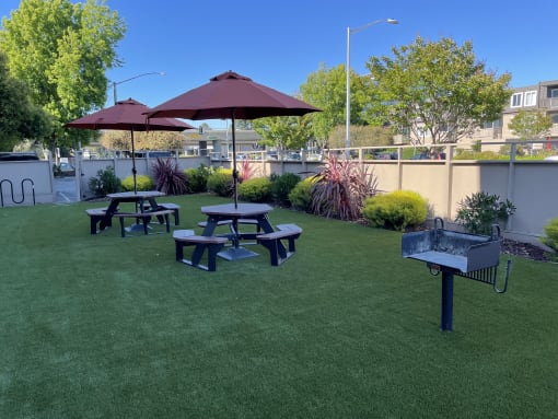 BBQ Area for the Fiesta Apts