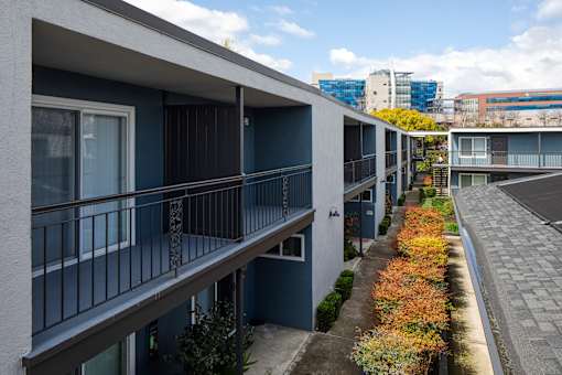 A long balcony with a metal railing and plants on the side.