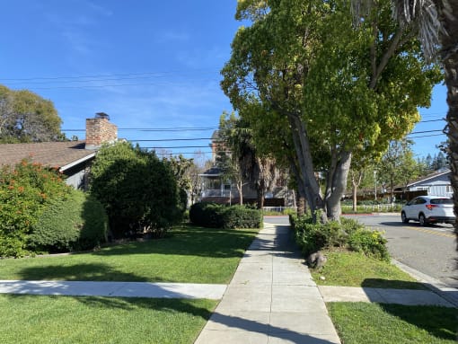 a sidewalk with trees and bushes on the side of a street