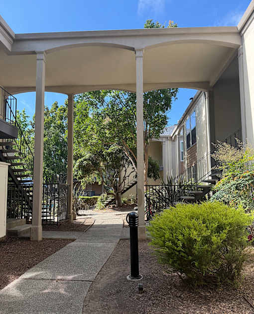 A white building with a black railing and a tree in front.