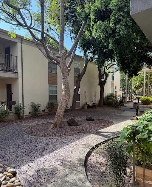 A courtyard with a tree and a small pond.