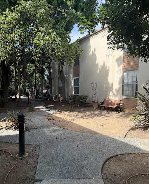 A concrete walkway leads to a building with a tree-lined sidewalk.