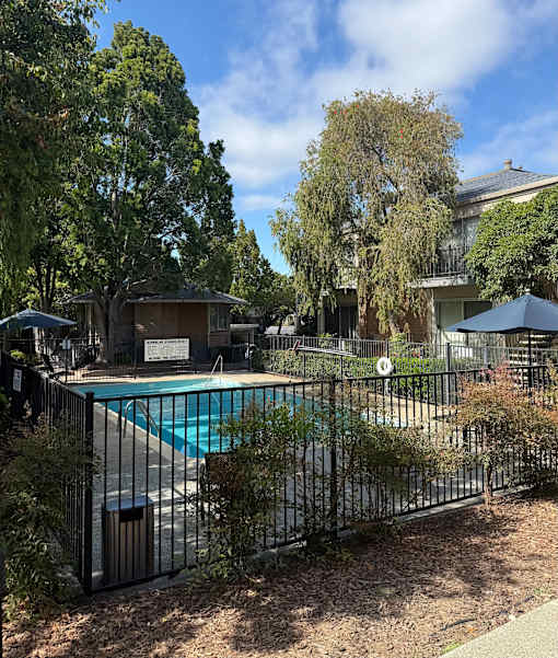 A pool surrounded by a black fence with trees in the background.