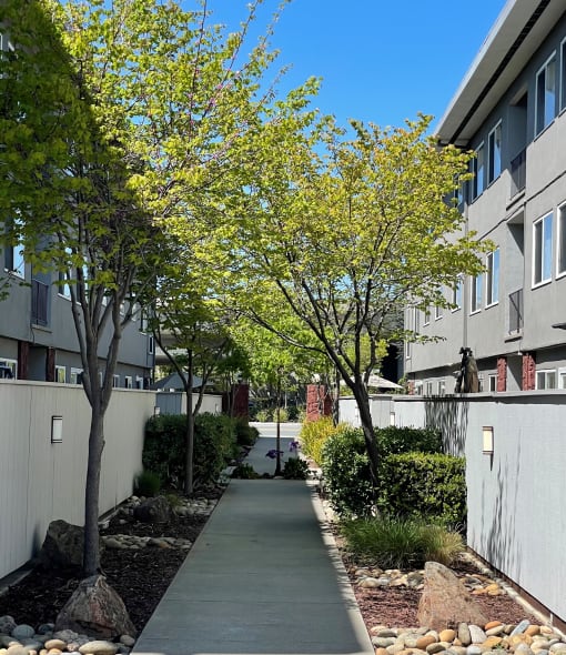 Community Walkway in 19th Ave Apartments