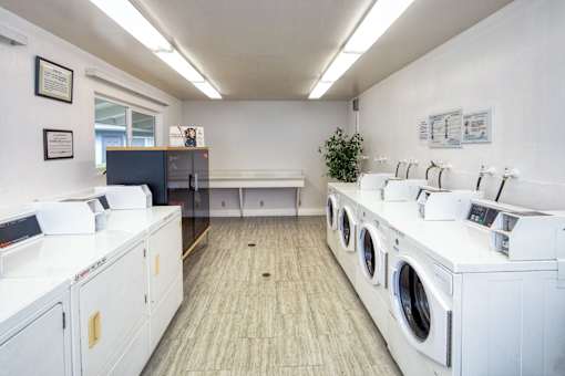 A laundromat with rows of washers and dryers.