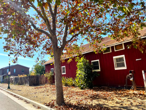 Exterior of the Prodesse Property Group Rose Court Apartments 230 Rose Court Campbell, CA 95008