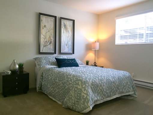 Large Bedrooms