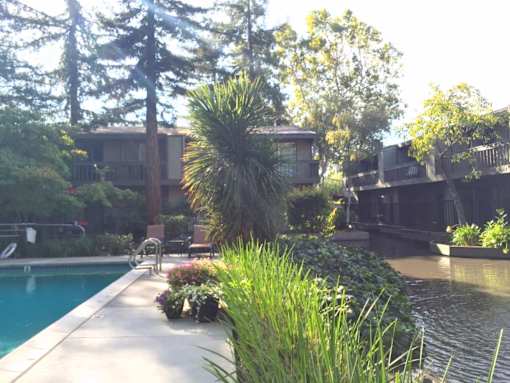 Water and Pool