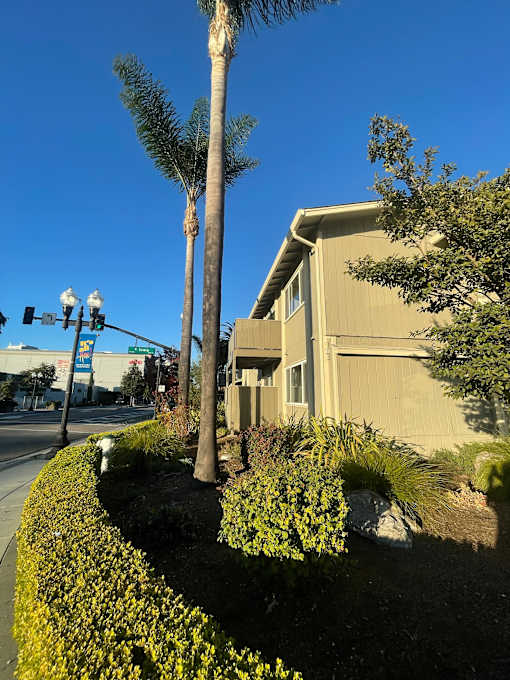A house with a palm tree in front of it.