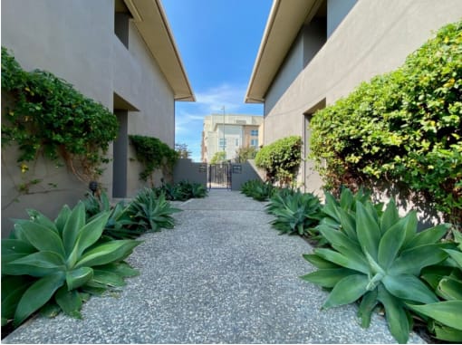South Delaware Apts Walkway to the pool adorned with luscious plants