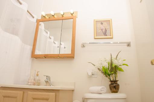 Ginger Bathroom