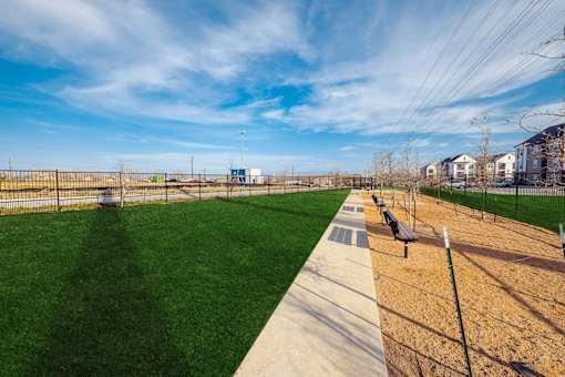Dog Park at Lucent, Austin, Texas