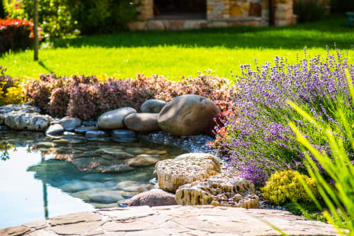 a garden with a pond and flowers