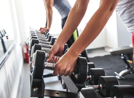people working out on weights at a gym