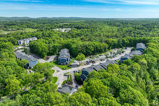 A bird's eye view of a residential area surrounded by dense green trees.