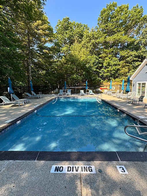 A pool with a no diving sign on the edge.