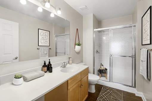 A bathroom with a white countertop and a white toilet.