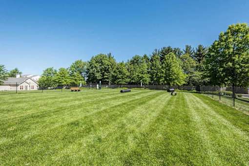 A large, well-maintained lawn with a house and trees in the background.